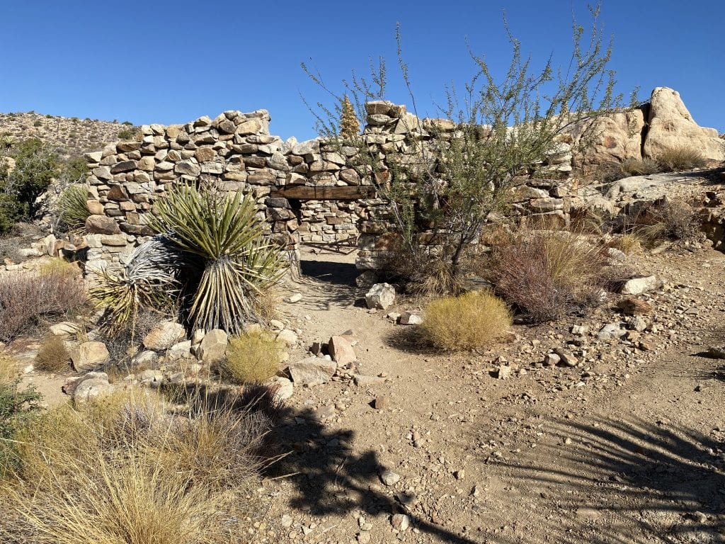 Things to do in Joshua Tree