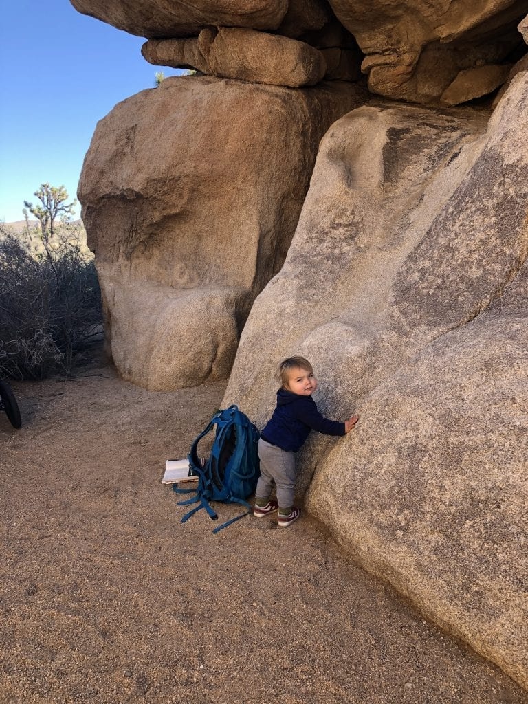 Things to Do in Joshua Tree with Kids