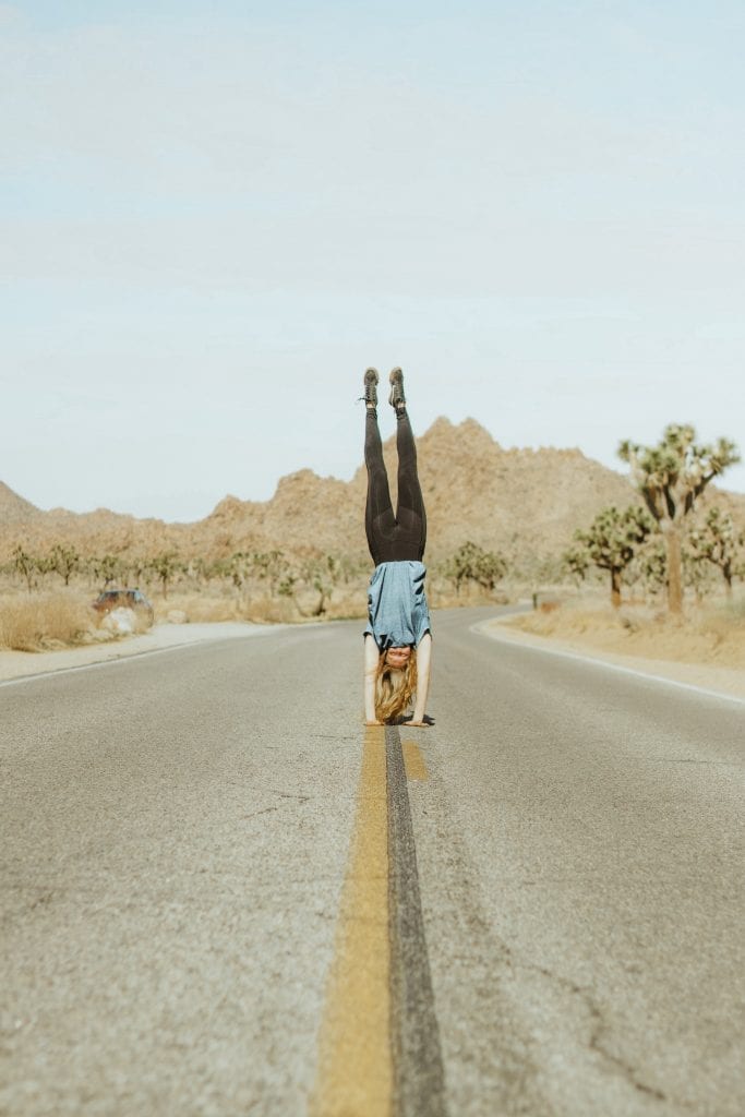 What to Do in Joshua Tree